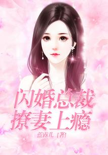 守护甜心之新的传奇