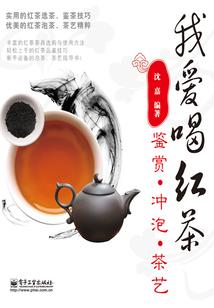 暗游戏的旅途