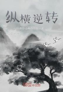 觅入红楼