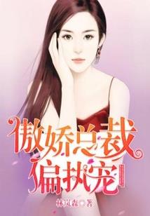 山寨版韩帅