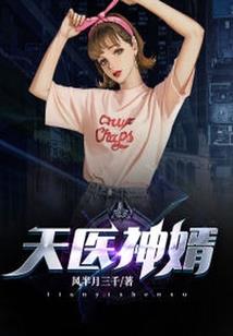 齐天凤圣：疯花邪玉俏佳人