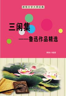 迷糊审计迷糊史