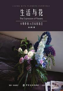 轮回镜之异界转世