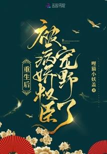 两界代言人