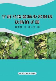 穿越之修罗武魂