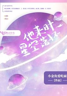 银色尾翼