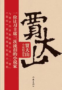 喜欢顾平生的那十年