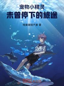 两百八十八颗星星
