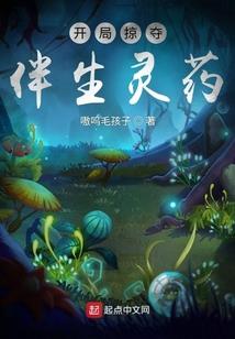 综漫之为王的道路