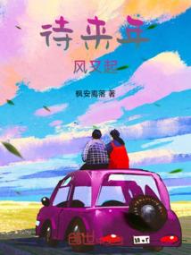 传奇书使