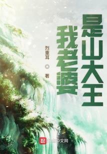 叶少你独宠