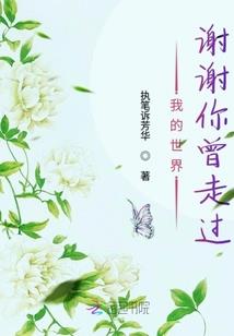陨月沉星
