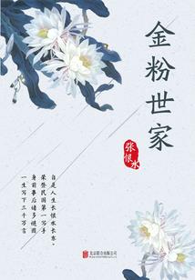乱世情：第一皇妃