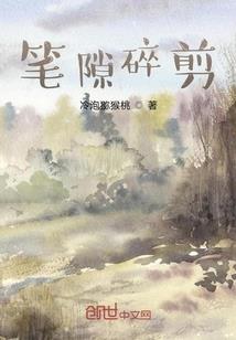 替身贵妇