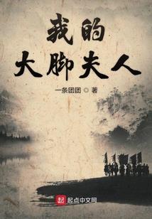 琵琶引——可归否