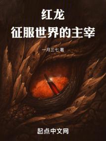 穿越之倒追小帅哥