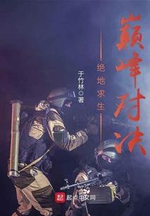 文道诛仙