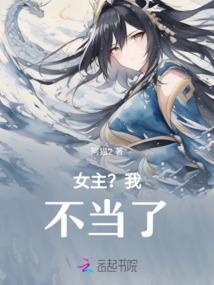 骑士宰相
