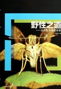问天传奇之偷天换日