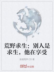 皖笙