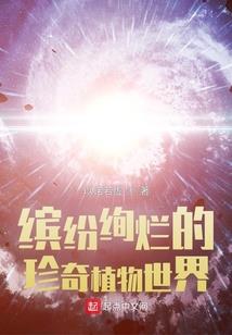 迷失者的幻梦