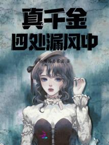 天降呆妃