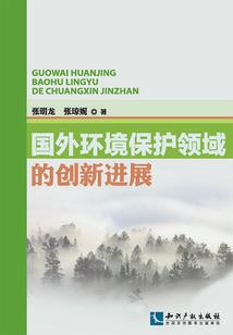 闪婚甜妻宠上瘾