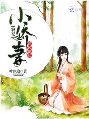 天降赘婿