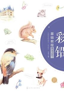 海棠公主闯江湖