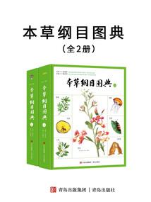 穿越冥王星