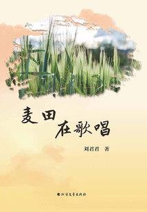 全球轮回：十倍积分