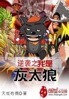 天天万岁