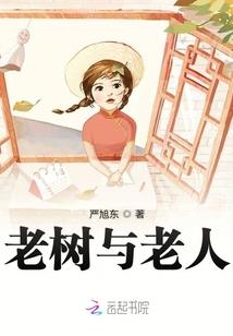 神法天书