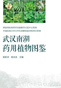 斗罗成神录