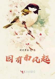 穿越之我是段誉