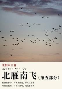 腹黑太子狂妄妃