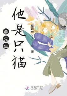风月情缘录
