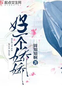 孤侠记
