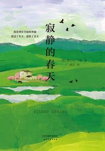 风在树梢鸟在叫