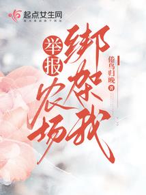 银河佣兵传