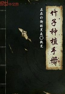 斗龙战士之龙行者