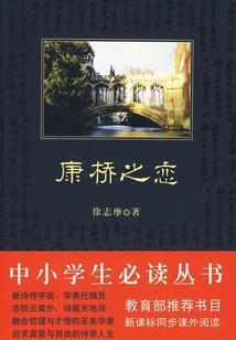 末世战无敌