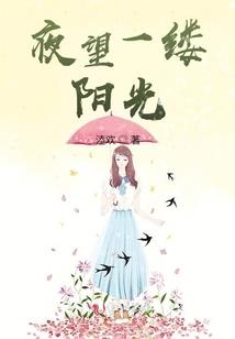 夏风柔芷
