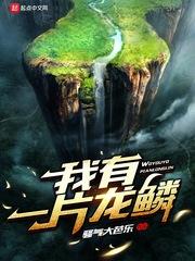伤已阑珊情以续