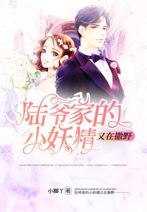 总裁大人的倔强小娇妻