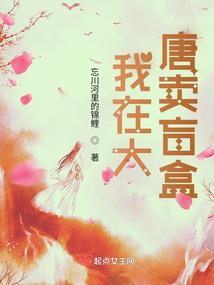 极品拽小姐的完美骑士