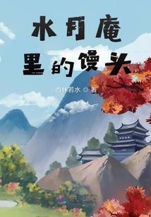 万能女婿