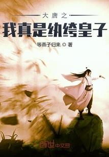 心月皎皎