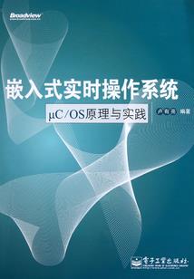 第九朵寒梅