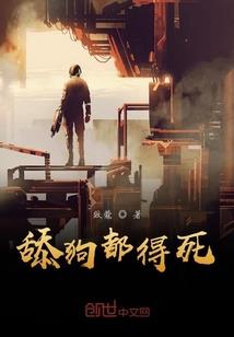 豪门难嫁之风叶情殇